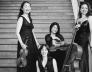 Het GoYa Quartet